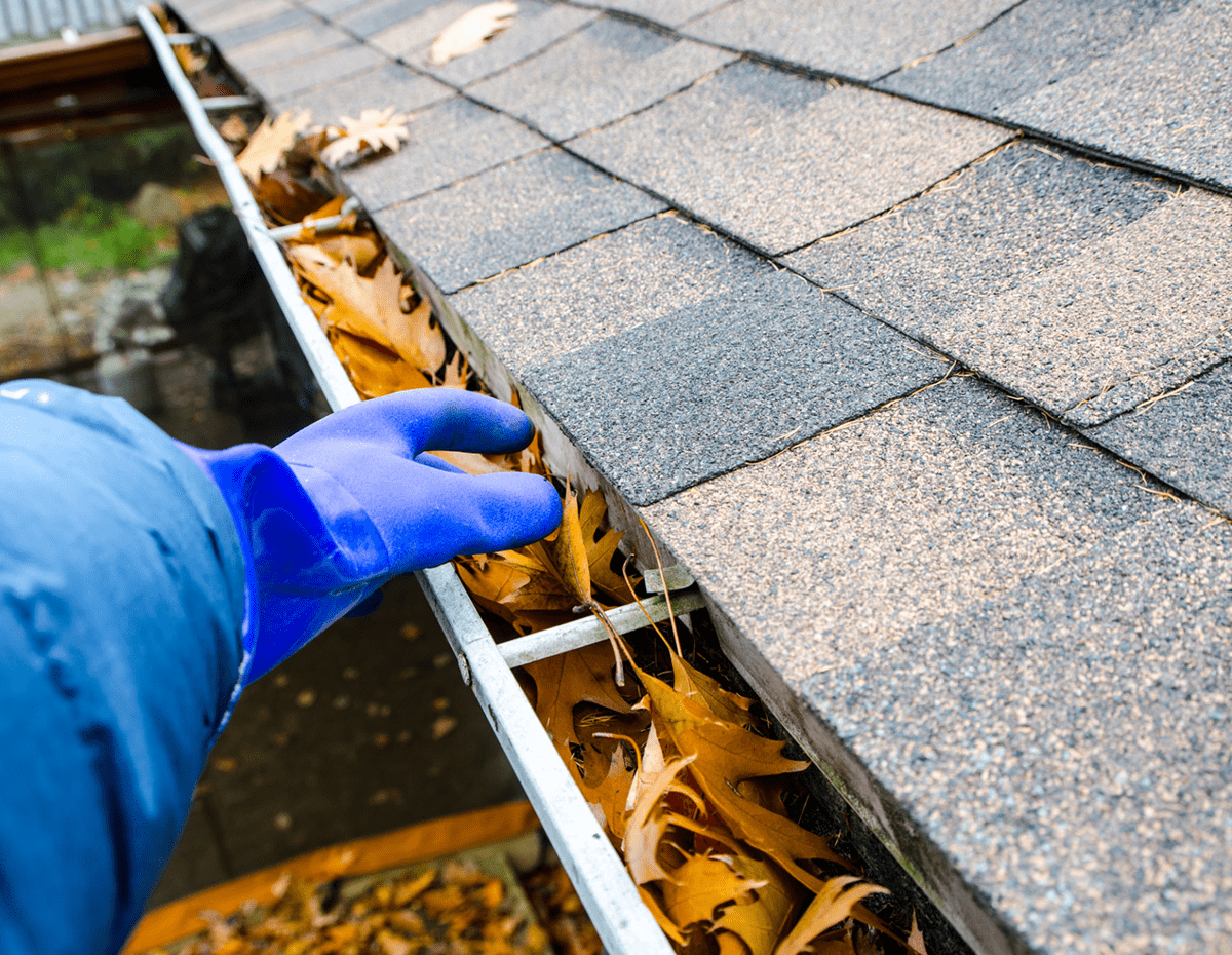 Blue-gloved hand clearing roof debris